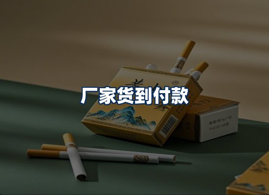 专业团队办公环境